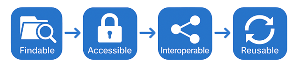 DM Framework